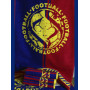 Рушник Махровий 50х90 Спорт FOOTBALL