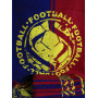 Рушник Махровий 50х90 Спорт FOOTBALL